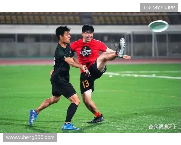 赛后分析:北京飞盘队与南京飞盘队的实力对决与战术较量